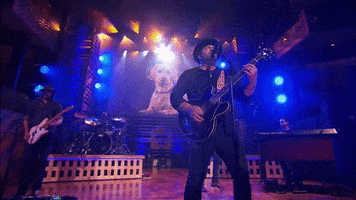 HallmarkChannel dog dogs puppy country music GIF