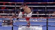 toprank fight boxing fighting espn GIF