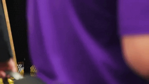 Cincinnati Bengals Nfl GIF by LSU Tigers