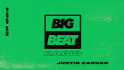 big beat dj GIF by Big Beat Records