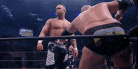 All Elite Wrestling GIF by AEWonTV