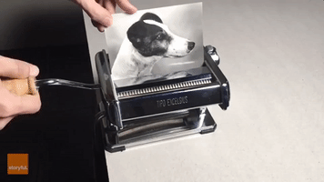Dog Portrait Collage From Pasta Maker is a Viral Sensation