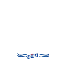 Celebrar Carnaval De Barranquilla Sticker by Cerveza Aguila OFICIAL