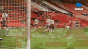 Spurs Tottenham GIF by MolaTV