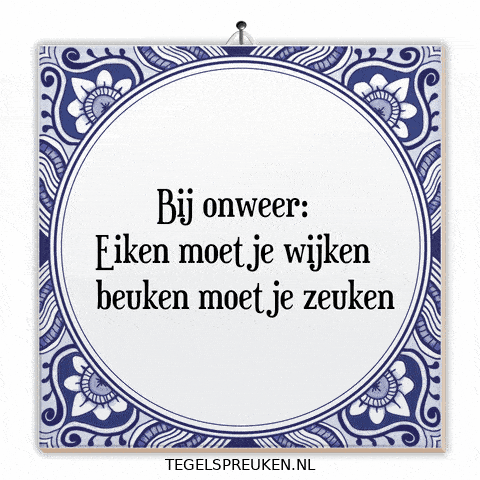 Humor Storm GIF by Tegelspreuken.nl