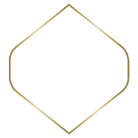 houseofjcleroux cheers champagne optimism cracker Sticker