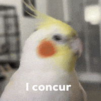 I Agree GIF