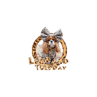 Dog Fashion Sticker by Pimp Yo Pets