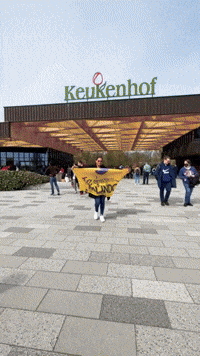 EUROTRIPS DE UNITRIPS