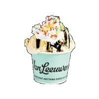 vanleeuwenkorea icecream 아이스크림 vanleeuwen 밴루엔 Sticker