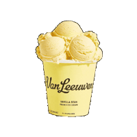 vanleeuwenkorea icecream 아이스크림 vanleeuwen 뉴욕아이스크림 Sticker