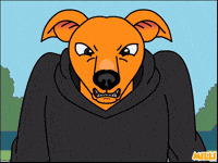 Angry Shiba Inu GIF by MILLI