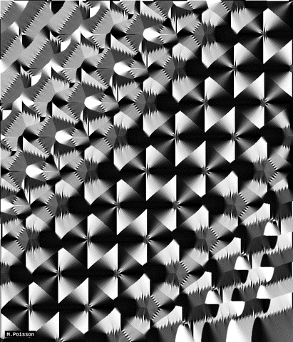 b&w art GIF by Michel Poisson