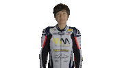 Celebration Bike Sticker by WorldSBK