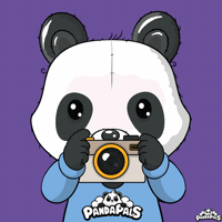 Photography Photo GIF by PandaPals