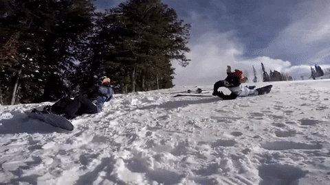 bigblue GIF by Utah State University