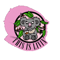 Coffee Koala Sticker by Cruzin’ Co. | Aussie Inspired Brand