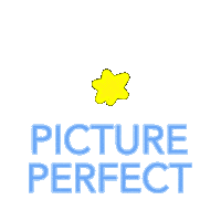 Picture Perfect Star Sticker