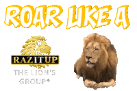 Power Success Sticker by Yanni Raz