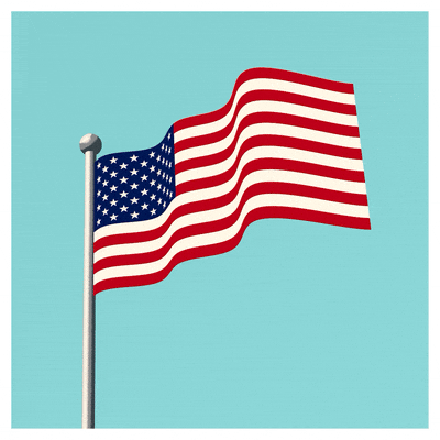 USA Flag