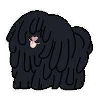 Dog Puli Sticker