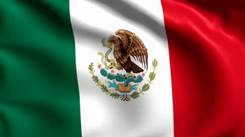 Fiestas Patrias Grito GIF