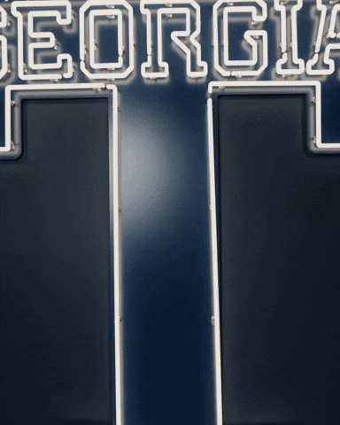 Georgia Tech Baseball GIF by Georgia Tech Yellow Jackets