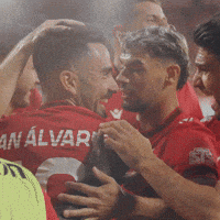 Football Rts GIF by Widzew Łódź