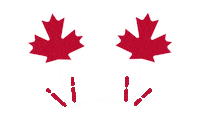 Canadaday Sticker by Canada Life / Canada Vie
