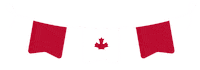 Streamer Bunting Sticker by Canada Life / Canada Vie