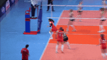 Save Go For It GIF by Volleyball World