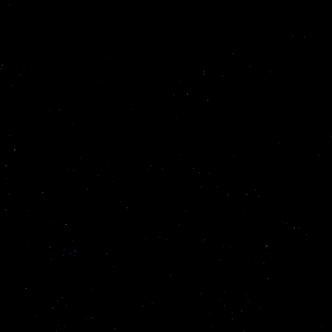 Sport Goal GIF by Eisbären Berlin