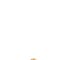 5daysid 5days Sticker