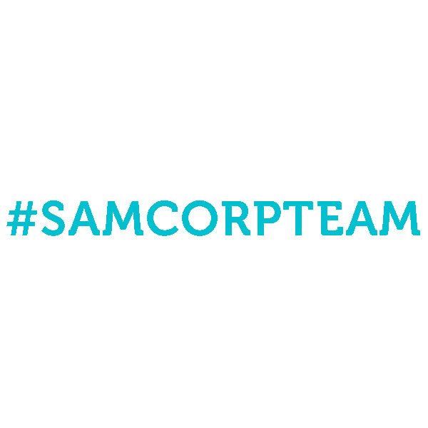 samcorpsolution giphyupload Sticker