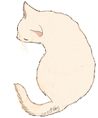 Cat Justin Sticker