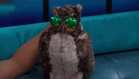 cbs giphygifmaker big brother bb19 GIF