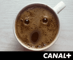 GIF by CANAL+