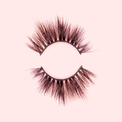 Doll-Beauty giphyupload lashes doll doll beauty GIF