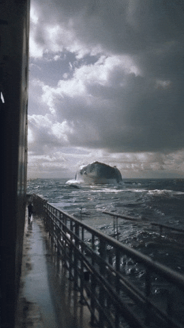 unitedstatesofgifs giphyupload horror shark week megalodon GIF