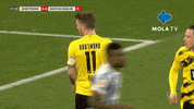 Football Bundesliga GIF by MolaTV