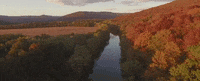 alabama GIF