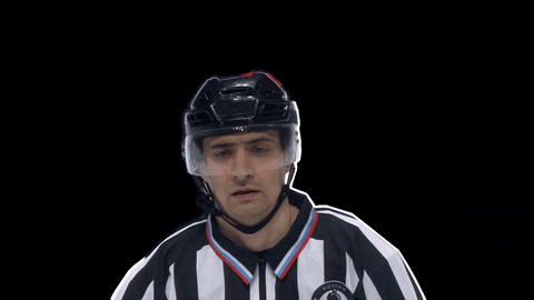 nhliga2021 giphyupload спорт хоккей ночнаялига GIF