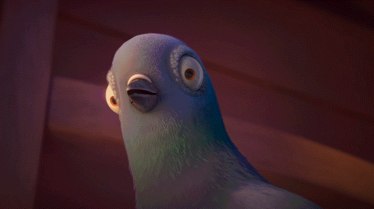 nouvellesimages giphyupload shocked confused bird GIF