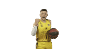 Vamos Liga Endesa Sticker by ACB