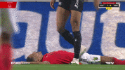 Lying Sl Benfica GIF by Sport Lisboa e Benfica