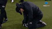 Happy Goal GIF by MolaTV