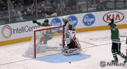 Celebrate Ice Hockey GIF by NHL