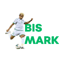Sticker by Avante Sports