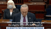 Chuck Schumer Senate GIF by GIPHY News