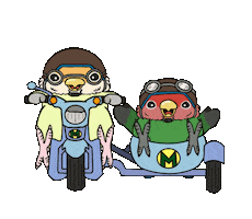 M-Family bird bike touring lovebird Sticker